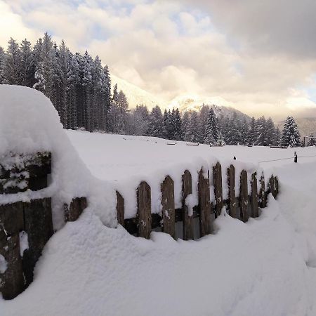 Siora Lina Appartamenti Vigo di Cadore Εξωτερικό φωτογραφία