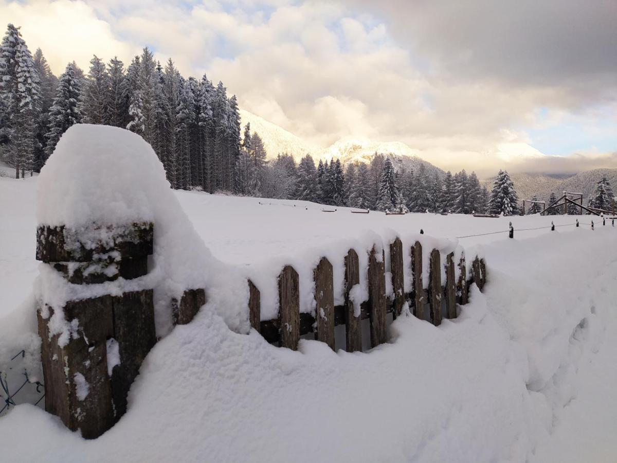 Siora Lina Appartamenti Vigo di Cadore Εξωτερικό φωτογραφία