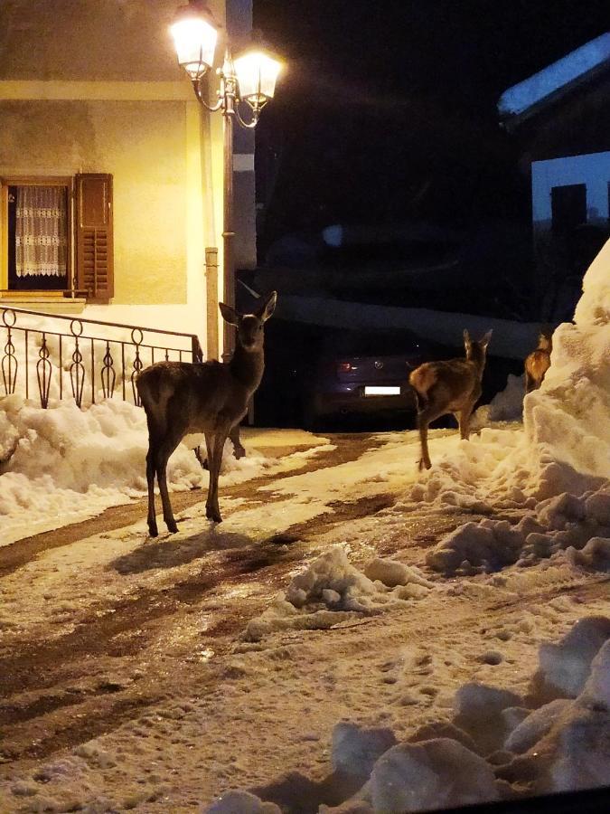 Siora Lina Appartamenti Vigo di Cadore Εξωτερικό φωτογραφία